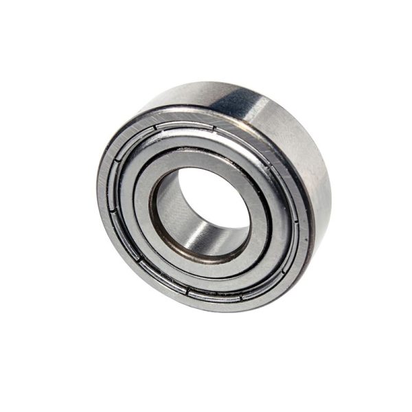 dental bearings (13)