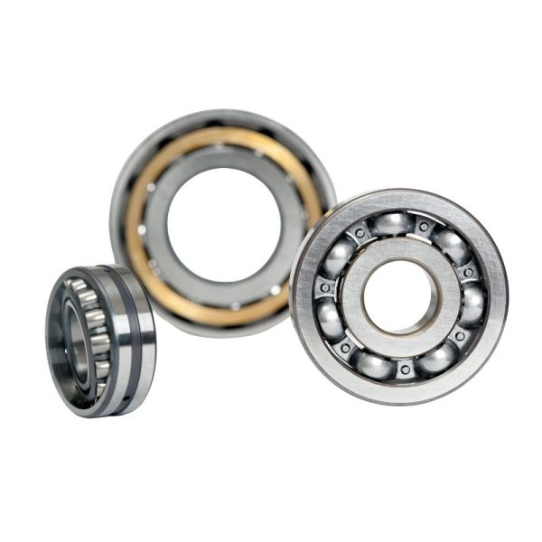 dental bearings (14)